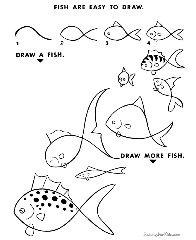 Learn how to draw fish
