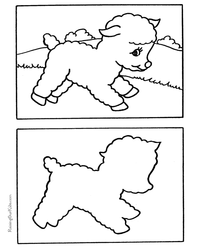 How to draw a lamb