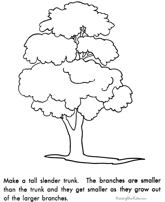 Preschool How to Draw a Tree