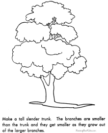 How to draw tree